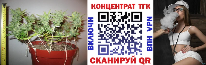 продажа наркотиков Архангельск ТГК концентрат