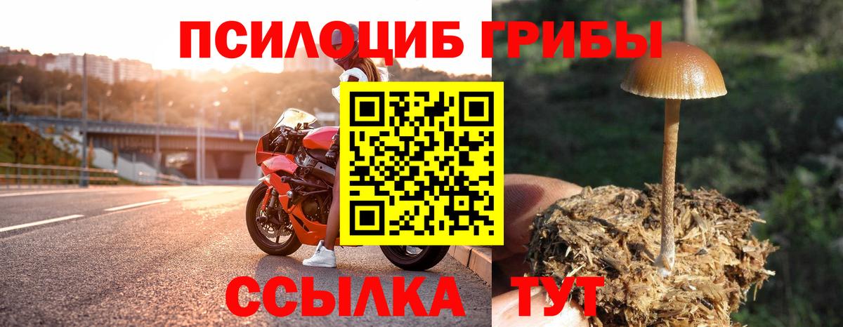 Галлюциногенные грибы мухоморы Архангельск